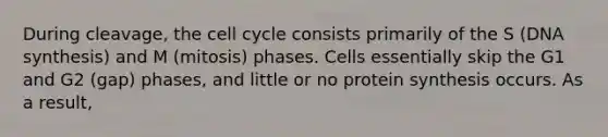 During cleavage, the cell cycle consists primarily of the S (DNA synthesis) and M (mitosis) phases. Cells essentially skip the G1 and G2 (gap) phases, and little or no protein synthesis occurs. As a result,