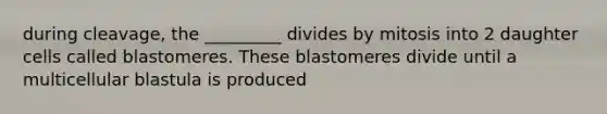 during cleavage, the _________ divides by mitosis into 2 daughter cells called blastomeres. These blastomeres divide until a multicellular blastula is produced