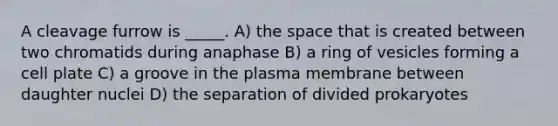 A cleavage furrow is _____. A) <a href='https://www.questionai.com/knowledge/k0Lyloclid-the-space' class='anchor-knowledge'>the space</a> that is created between two chromatids during anaphase B) a ring of vesicles forming a cell plate C) a groove in the plasma membrane between daughter nuclei D) the separation of divided prokaryotes