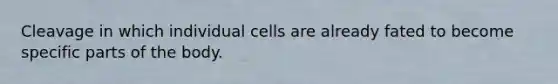 Cleavage in which individual cells are already fated to become specific parts of the body.