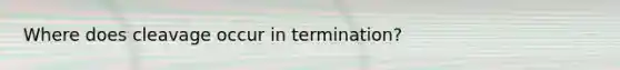 Where does cleavage occur in termination?