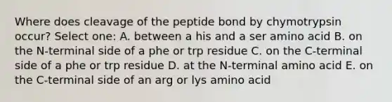 Where does cleavage of the peptide bond by chymotrypsin occur? Select one: A. between a his and a ser amino acid B. on the N-terminal side of a phe or trp residue C. on the C-terminal side of a phe or trp residue D. at the N-terminal amino acid E. on the C-terminal side of an arg or lys amino acid