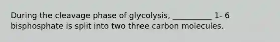 During the cleavage phase of glycolysis, __________ 1- 6 bisphosphate is split into two three carbon molecules.