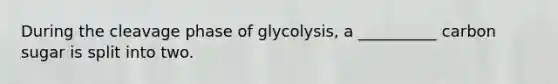 During the cleavage phase of glycolysis, a __________ carbon sugar is split into two.