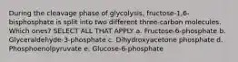 During the cleavage phase of glycolysis, fructose-1,6-bisphosphate is split into two different three-carbon molecules. Which ones? SELECT ALL THAT APPLY a. Fructose-6-phosphate b. Glyceraldehyde-3-phosphate c. Dihydroxyacetone phosphate d. Phosphoenolpyruvate e. Glucose-6-phosphate