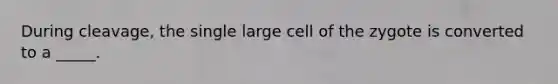 During cleavage, the single large cell of the zygote is converted to a _____.