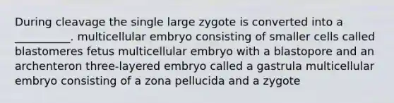 During cleavage the single large zygote is converted into a __________. multicellular embryo consisting of smaller cells called blastomeres fetus multicellular embryo with a blastopore and an archenteron three-layered embryo called a gastrula multicellular embryo consisting of a zona pellucida and a zygote