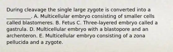 During cleavage the single large zygote is converted into a __________. A. Multicellular embryo consisting of smaller cells called blastomeres. B. Fetus C. Three-layered embryo called a gastrula. D. Multicellular embryo with a blastopore and an archenteron. E. Multicellular embryo consisting of a zona pellucida and a zygote.