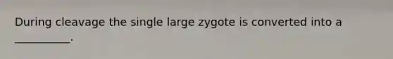 During cleavage the single large zygote is converted into a __________.