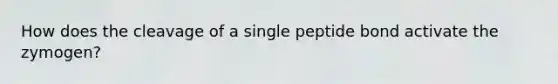 How does the cleavage of a single peptide bond activate the zymogen?