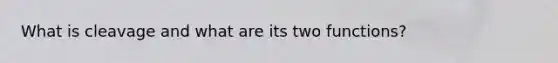 What is cleavage and what are its two functions?