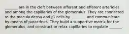 _______ are in the cleft between afferent and efferent arterioles and among the capillaries of the glomerulus. They are connected to the macula densa and JG cells by ________ and communicate by means of paracrines. They build a supportive matrix for the glomerulus, and construct or relax capillaries to regulate _______.