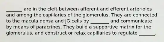 _______ are in the cleft between afferent and efferent arterioles and among the capillaries of the glomerulus. They are connected to the macula densa and JG cells by ________ and communicate by means of paracrines. They build a supportive matrix for the glomerulus, and construct or relax capillaries to regulate _______.