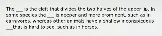 The ___ is the cleft that divides the two halves of the upper lip. In some species the ___ is deeper and more prominent, such as in carnivores, whereas other animals have a shallow inconspicuous ___that is hard to see, such as in horses.