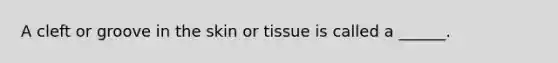 A cleft or groove in the skin or tissue is called a ______.