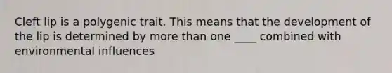 Cleft lip is a polygenic trait. This means that the development of the lip is determined by <a href='https://www.questionai.com/knowledge/keWHlEPx42-more-than' class='anchor-knowledge'>more than</a> one ____ combined with environmental influences