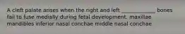 A cleft palate arises when the right and left _____________ bones fail to fuse medially during fetal development. maxillae mandibles inferior nasal conchae middle nasal conchae