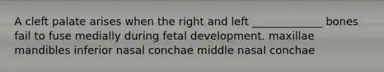 A cleft palate arises when the right and left _____________ bones fail to fuse medially during fetal development. maxillae mandibles inferior nasal conchae middle nasal conchae