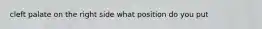 cleft palate on the right side what position do you put