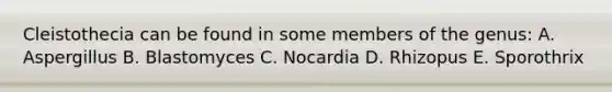 Cleistothecia can be found in some members of the genus: A. Aspergillus B. Blastomyces C. Nocardia D. Rhizopus E. Sporothrix