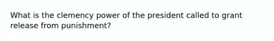 What is the clemency power of the president called to grant release from punishment?