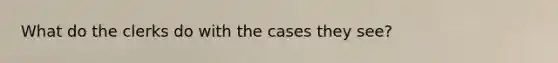 What do the clerks do with the cases they see?