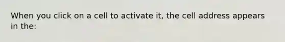 When you click on a cell to activate it, the cell address appears in the: