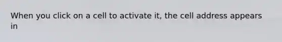 When you click on a cell to activate it, the cell address appears in