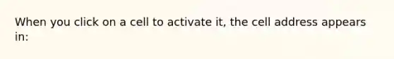 When you click on a cell to activate it, the cell address appears in: