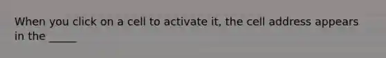 When you click on a cell to activate it, the cell address appears in the _____