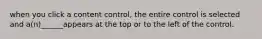 when you click a content control, the entire control is selected and a(n)______appears at the top or to the left of the control.