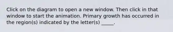 Click on the diagram to open a new window. Then click in that window to start the animation. Primary growth has occurred in the region(s) indicated by the letter(s) _____.