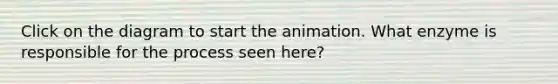 Click on the diagram to start the animation. What enzyme is responsible for the process seen here?