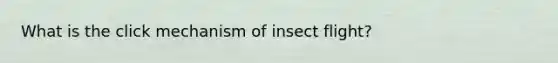 What is the click mechanism of insect flight?