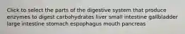 Click to select the parts of the digestive system that produce enzymes to digest carbohydrates liver small intestine gallbladder large intestine stomach espophagus mouth pancreas