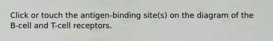 Click or touch the antigen-binding site(s) on the diagram of the B-cell and T-cell receptors.