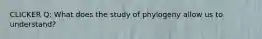 CLICKER Q: What does the study of phylogeny allow us to understand?