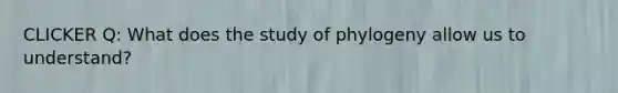 CLICKER Q: What does the study of phylogeny allow us to understand?