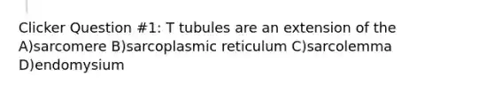 Clicker Question #1: T tubules are an extension of the A)sarcomere B)sarcoplasmic reticulum C)sarcolemma D)endomysium