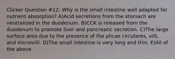 Clicker Question #12: Why is the small intestine well adapted for nutrient absorption? A)Acid secretions from the stomach are neutralized in the duodenum. B)CCK is released from the duodenum to promote liver and pancreatic secretion. C)The large surface area due to the presence of the plicae circulares, villi, and microvilli. D)The small intestine is very long and thin. E)All of the above