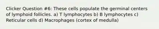 Clicker Question #6: These cells populate the germinal centers of lymphoid follicles. a) T lymphocytes b) B lymphocytes c) Reticular cells d) Macrophages (cortex of medulla)