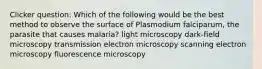 Clicker question: Which of the following would be the best method to observe the surface of Plasmodium falciparum, the parasite that causes malaria? light microscopy dark-field microscopy transmission electron microscopy scanning electron microscopy fluorescence microscopy