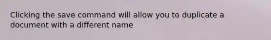 Clicking the save command will allow you to duplicate a document with a different name