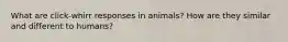 What are click-whirr responses in animals? How are they similar and different to humans?