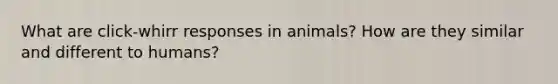 What are click-whirr responses in animals? How are they similar and different to humans?