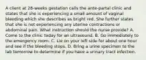 A client at 28-weeks gestation calls the ante-partal clinic and states that she is experiencing a small amount of vaginal bleeding which she describes as bright red. She further states that she is not experiencing any uterine contractions or abdominal pain. What instruction should the nurse provide? A. Come to the clinic today for an ultrasound. B. Go immediately to the emergency room. C. Lie on your left side for about one hour and see if the bleeding stops. D. Bring a urine specimen to the lab tomorrow to determine if you have a urinary tract infection.