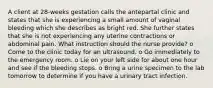 A client at 28-weeks gestation calls the antepartal clinic and states that she is experiencing a small amount of vaginal bleeding which she describes as bright red. She further states that she is not experiencing any uterine contractions or abdominal pain. What instruction should the nurse provide? o Come to the clinic today for an ultrasound. o Go immediately to the emergency room. o Lie on your left side for about one hour and see if the bleeding stops. o Bring a urine specimen to the lab tomorrow to determine if you have a urinary tract infection.