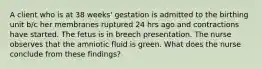 A client who is at 38 weeks' gestation is admitted to the birthing unit b/c her membranes ruptured 24 hrs ago and contractions have started. The fetus is in breech presentation. The nurse observes that the amniotic fluid is green. What does the nurse conclude from these findings?