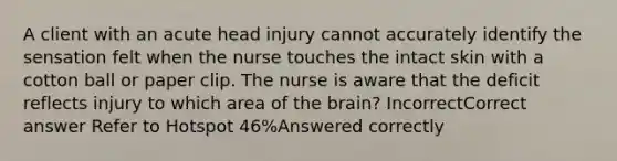 A client with an acute head injury cannot accurately identify the sensation felt when the nurse touches the intact skin with a cotton ball or paper clip. The nurse is aware that the deficit reflects injury to which area of the brain? IncorrectCorrect answer Refer to Hotspot 46%Answered correctly