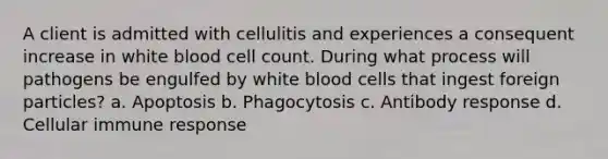 A client is admitted with cellulitis and experiences a consequent increase in white blood cell count. During what process will pathogens be engulfed by white blood cells that ingest foreign particles? a. Apoptosis b. Phagocytosis c. Antibody response d. Cellular immune response